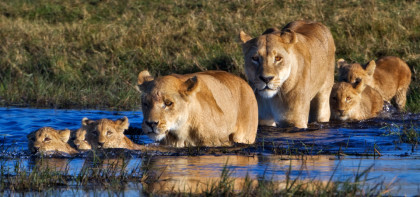 Botswana_960x450_03