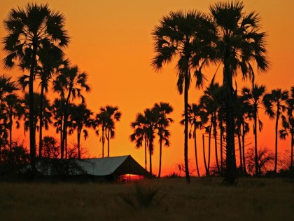 Camping at Dusk