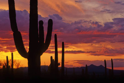 arizona-sunset