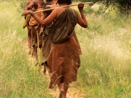 bushmen of the kalahari