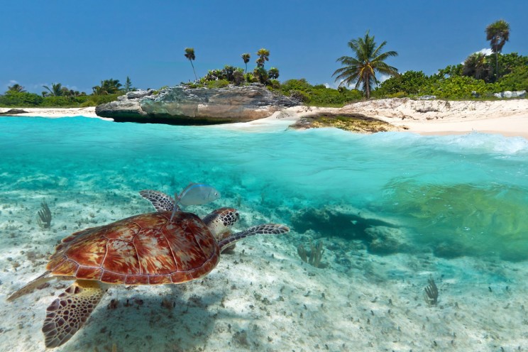 giramondo-yucatan