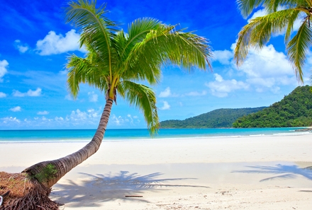 shutterstock_73245898_Caribbean