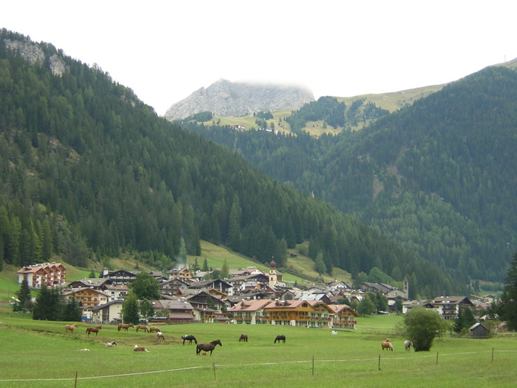 2003-595