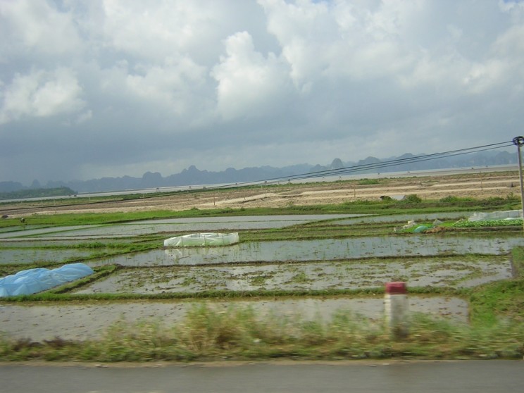 dscn2933