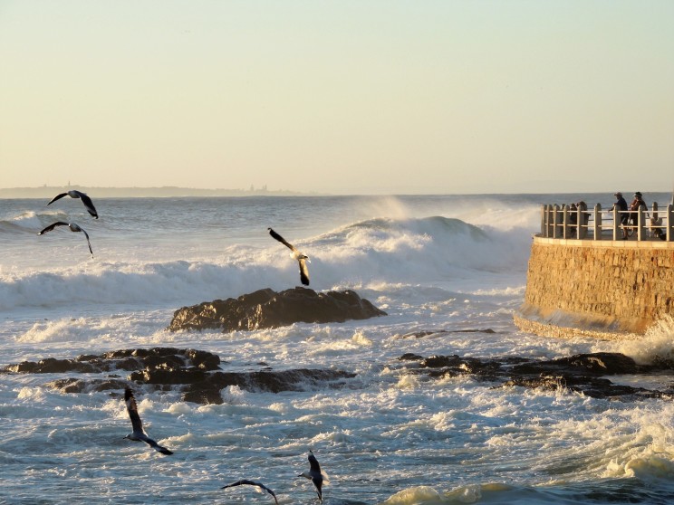 robben-island-1