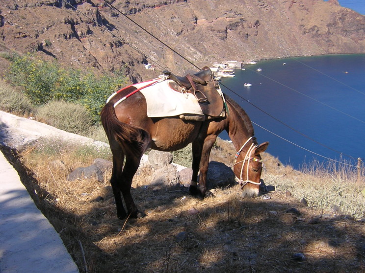 varie2005-104