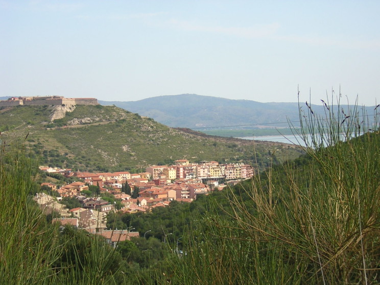 varie2005-458