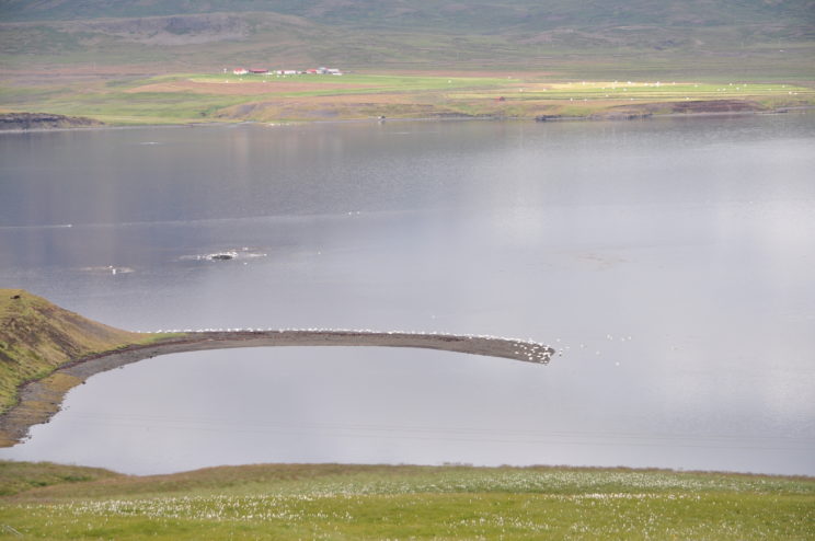 islanda-2015-262