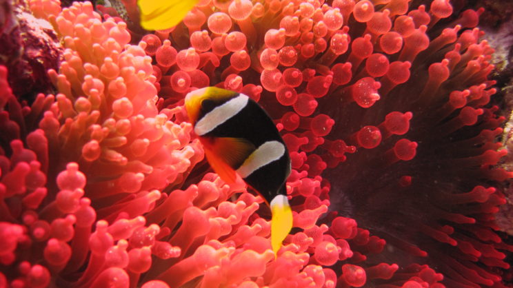 recovered_mar_30_2015_009