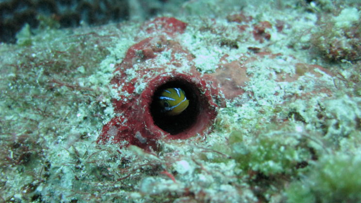 recovered_mar_30_2015_030