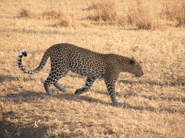 tanzania-369