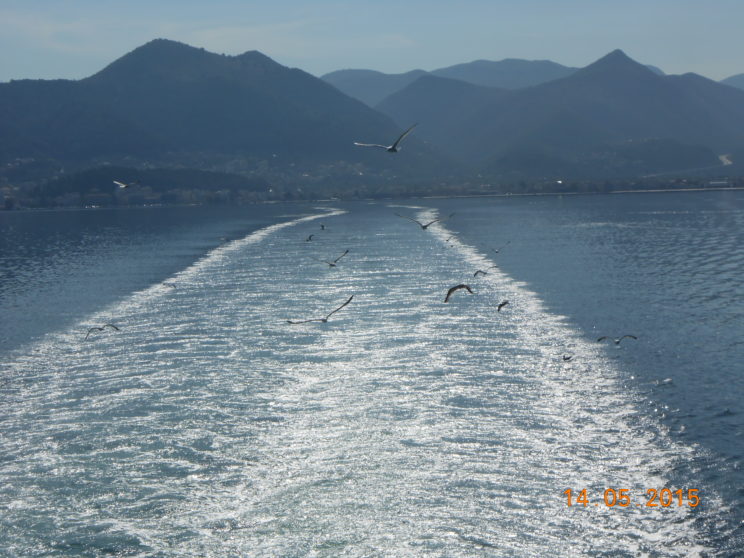 DSCN1767