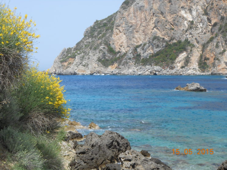 DSCN1869