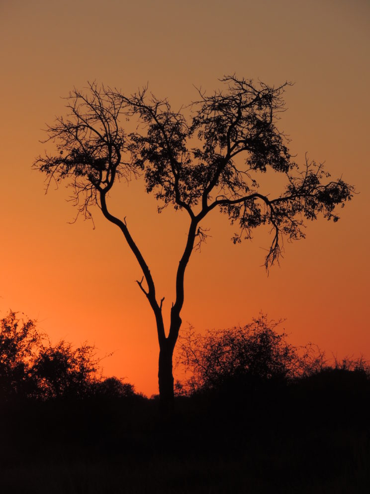 tramonto Madikwe2