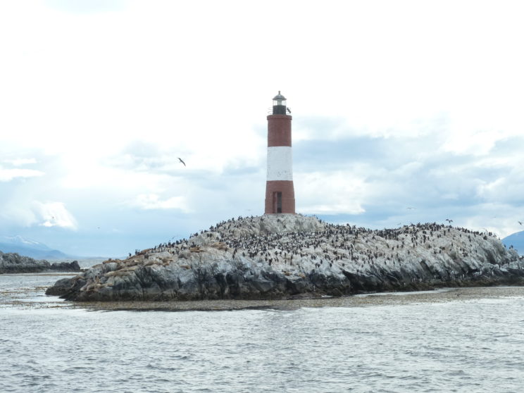 P1050829